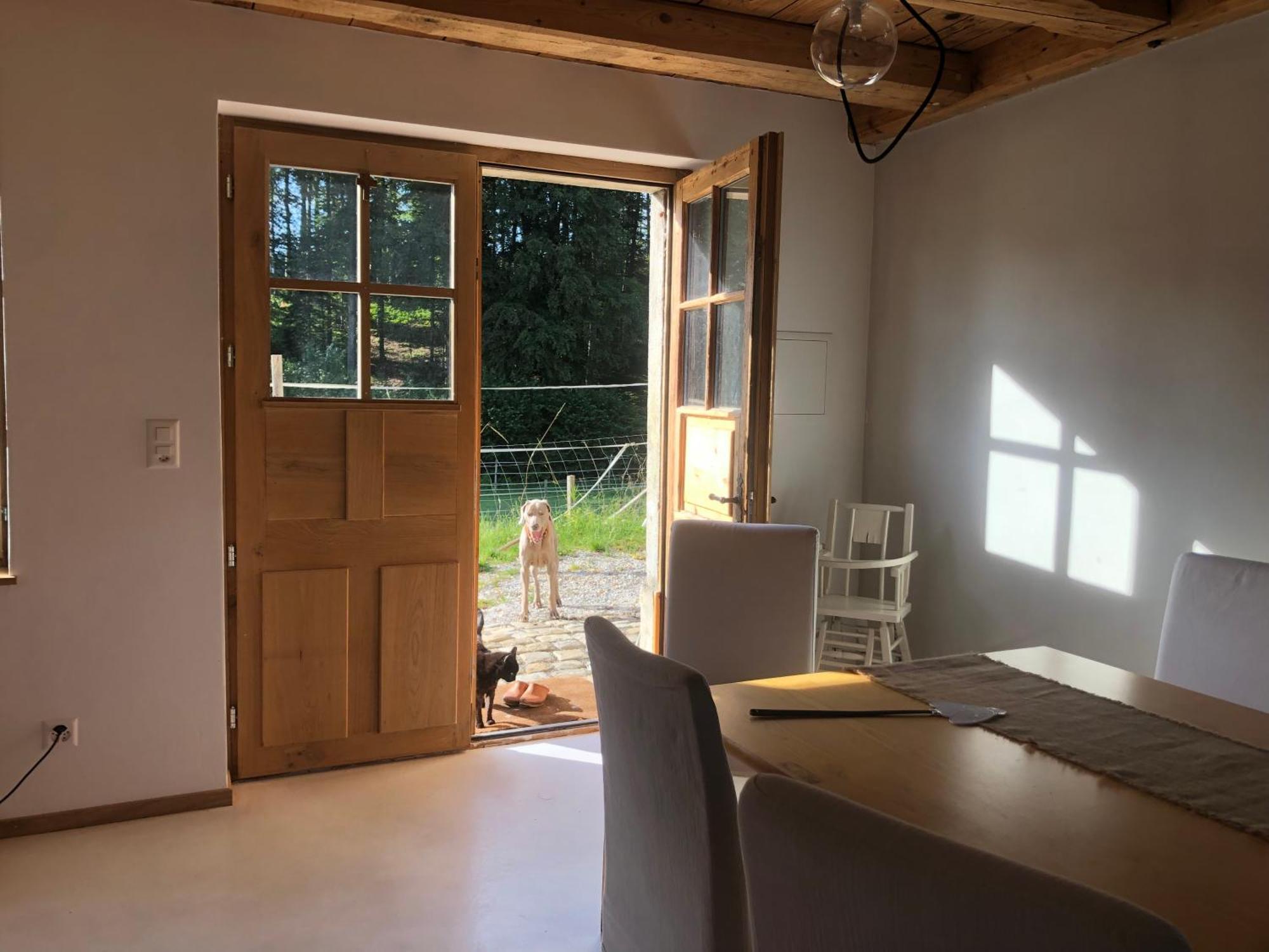 Serenite Et Nature Dans Une Ferme Equestre - Studio Familial Massonnens Buitenkant foto